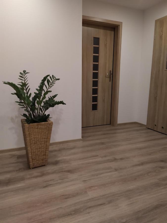 Apartament Kaola Jelenia Góra Εξωτερικό φωτογραφία